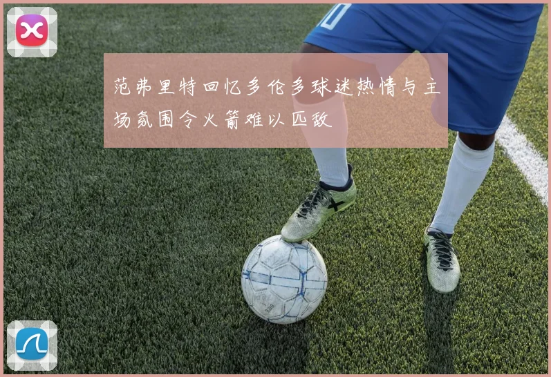 范弗里特回忆多伦多球迷热情与主场氛围令火箭难以匹敌
